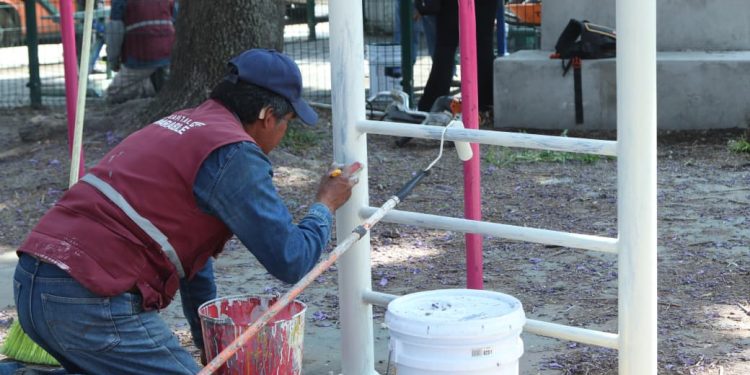 Realiza Gobierno de la Ciudad labores de poda y chapeo en espacios públicos
