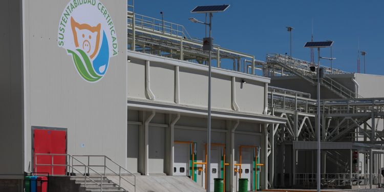 Mantiene crecimiento Planta Procesadora de Carne de Altosano-Granjas Carroll