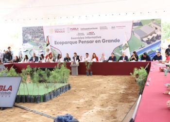 Puebla fortalece acciones contra el maltrato y bienestar animal