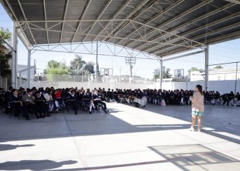 Gobierno de Pepe Chedraui avanza en la organización del Torneo de Barrios de Box 2026