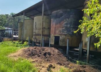 Impone Profepa medidas correctivas a planta de aceite palma, en Chiapas, por manejo inadecuado de aguas residuales