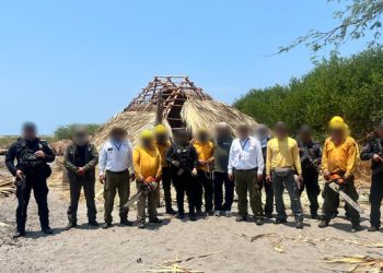 Profepa y Conanp retiran 15 palapas de La Encrucijada, Chiapas