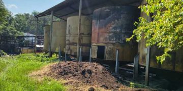 Impone Profepa medidas correctivas a planta de aceite palma, en Chiapas, por manejo inadecuado de aguas residuales