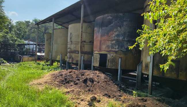 Impone Profepa medidas correctivas a planta de aceite palma, en Chiapas, por manejo inadecuado de aguas residuales