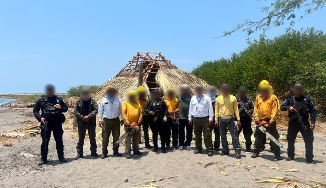 Profepa y Conanp retiran 15 palapas de La Encrucijada, Chiapas