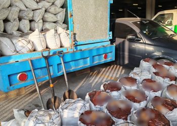 Profepa y autoridades de Tlalpan aseguran más de 4 ton de tierra de monte en Topilejo