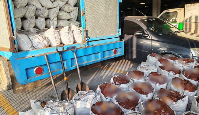 Profepa y autoridades de Tlalpan aseguran más de 4 ton de tierra de monte en Topilejo