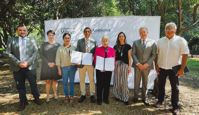 Sector ambiental federal y productores de aguacate fortalecen acciones para frenar deforestación