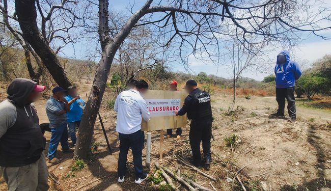 Profepa clausura predio por cambio de uso de suelo ilegal en Huaquechula, Puebla