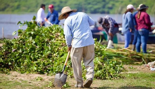 El Gobierno de México sanea la laguna de Mitla