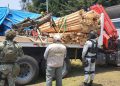 Desmantela Profepa aserradero ilegal y asegura 3.6 m³ de madera en Huitzilac, Morelos