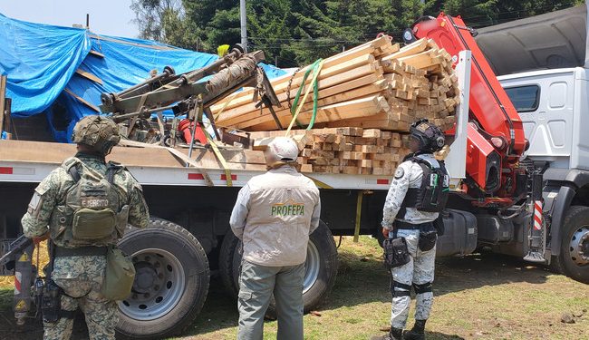 Desmantela Profepa aserradero ilegal y asegura 3.6 m³ de madera en Huitzilac, Morelos