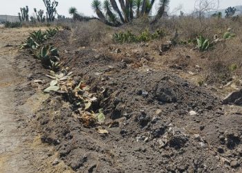 Realizan Profepa y Conanp primer operativo conjunto en 41 Áreas Naturales Protegidas