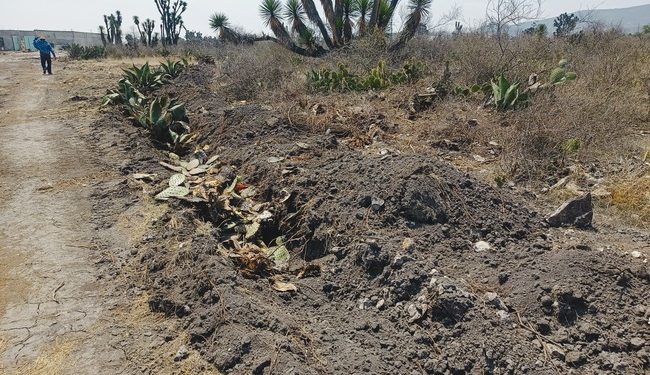 Realizan Profepa y Conanp primer operativo conjunto en 41 Áreas Naturales Protegidas