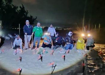 Llegan las primeras tortugas lora a las playas de Rancho Nuevo, Barra del Tordo y Miramar, en Tamaulipas