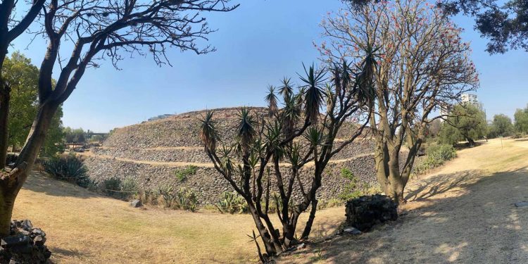 Aún sin recuperarse niveles de vegetación y animales registrados antes de la erupción del Xitle