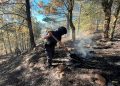 Fortalece Seguridad Pública protección y combate a delitos ambientales