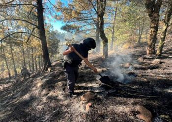Fortalece Seguridad Pública protección y combate a delitos ambientales
