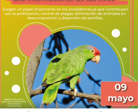 Día Mundial de las Aves Migratorias