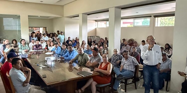 CONAFOR apoya comunidades forestales de Michoacán en el Proyecto Cuenca Balsas-Pacífico Sur