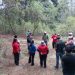 Vigilancia permanente en La Malinche controla la presencia del insecto descortezador