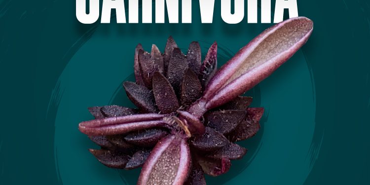 Investigadores BUAP descubren nueva especie de planta carnívora