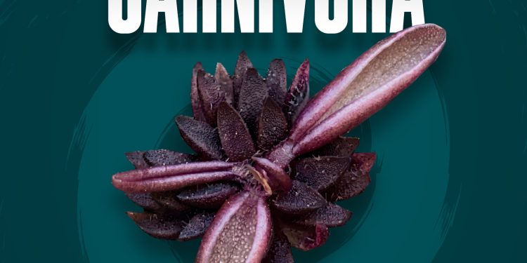 Investigadores BUAP descubren nueva especie de planta carnívora