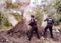 Policía Forestal destruye 11 hornos clandestinos para deshidratar madera