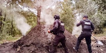 Policía Forestal destruye 11 hornos clandestinos para deshidratar madera