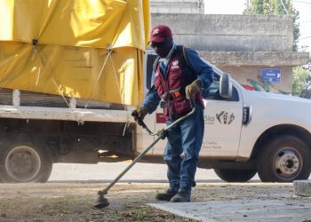 Fortalece Gobierno de la Ciudad acciones de poda y chapeo en la capital