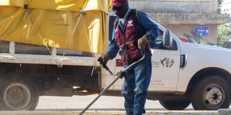 Fortalece Gobierno de la Ciudad acciones de poda y chapeo en la capital