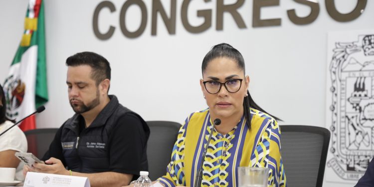 Avala Comisión del Congreso exhorto para que Ayuntamientos realicen mantenimiento y desazolve de la red de drenaje