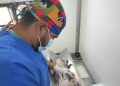 Gobierno de la Ciudad continúa impulsando jornadas de bienestar animal en colonias de la capital