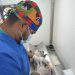 Gobierno de la Ciudad continúa impulsando jornadas de bienestar animal en colonias de la capital