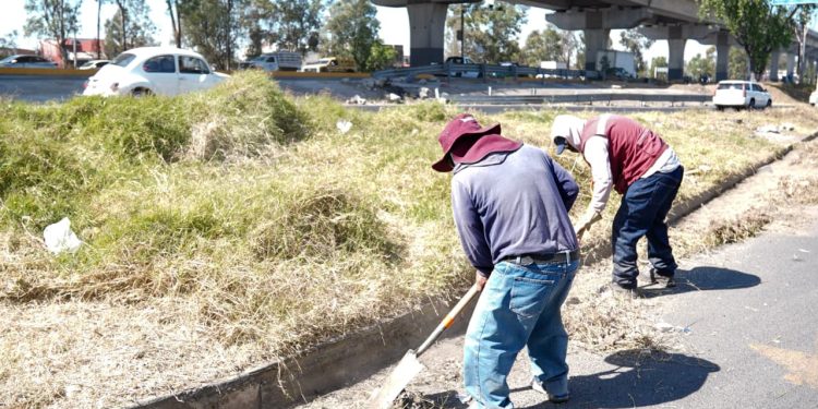 Refuerza Gobierno Municipal mantenimiento en bajo puentes de la capital