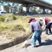 Refuerza Gobierno Municipal mantenimiento en bajo puentes de la capital