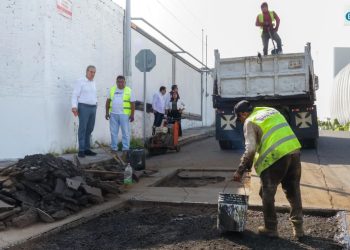 Sector ambiental federal activa protocolo de atención a primates