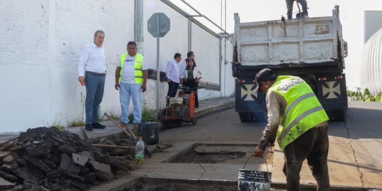 Sector ambiental federal activa protocolo de atención a primates