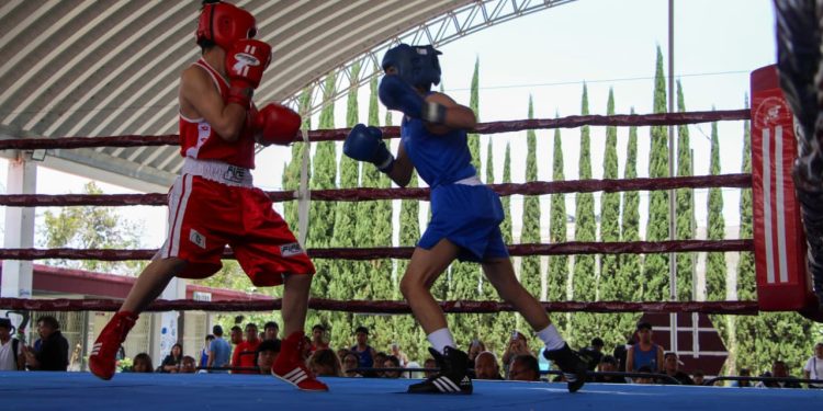 Gobierno de la Ciudad desarrolla la sexta y séptima función del Torneo de Barrios de Box 2026