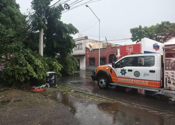 Gobierno de Pepe Chedraui atiende incidencias por lluvias y vientos