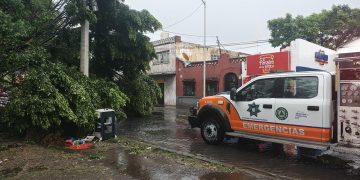 Gobierno de Pepe Chedraui atiende incidencias por lluvias y vientos