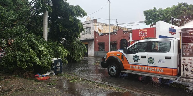 Gobierno de Pepe Chedraui atiende incidencias por lluvias y vientos