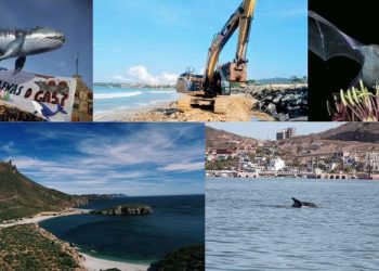 Otras zonas, además de Mahahual, que necesitan atención