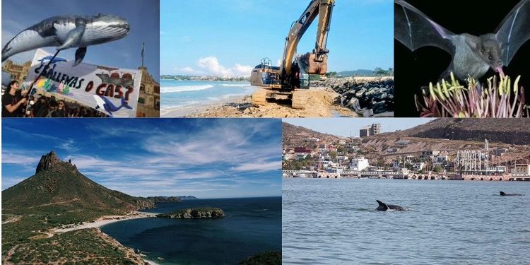 Otras zonas, además de Mahahual, que necesitan atención