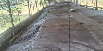 Profepa verifica el retiro de cerdos de la Granja Porcícola Pecuaria Peninsular, en Santa María Chi