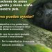Sector ambiental federal activa protocolo de atención a primates
