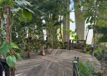 Profepa dona madera asegurada al Orquideario y Jardín Botánico “Comitán” en Chiapas