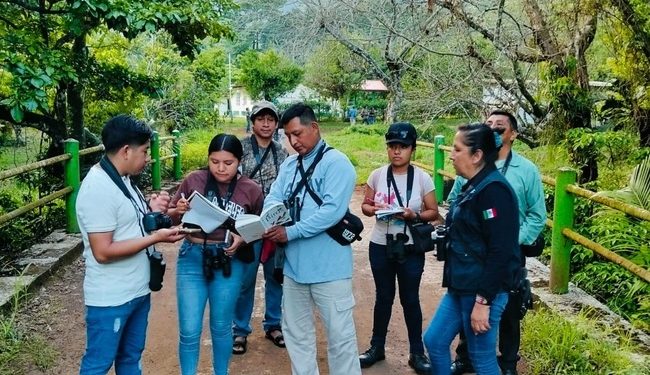 En la Reserva de la Biosfera de los Tuxtlas capacitan a jóvenes para el monitoreo de aves