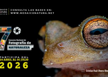CONABIO abre la convocatoria del 7º Concurso Nacional de Fotografía de Naturaleza