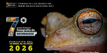 CONABIO abre la convocatoria del 7º Concurso Nacional de Fotografía de Naturaleza